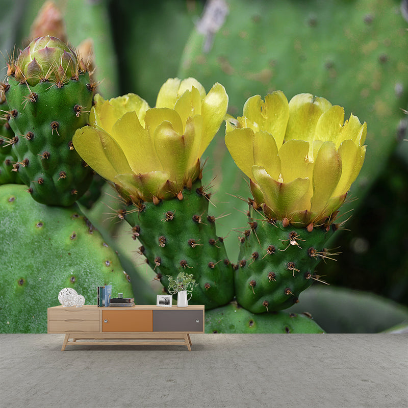 Green Cactus Mural Wallpaper for Reading Room Bedroom, Moisture Resistant