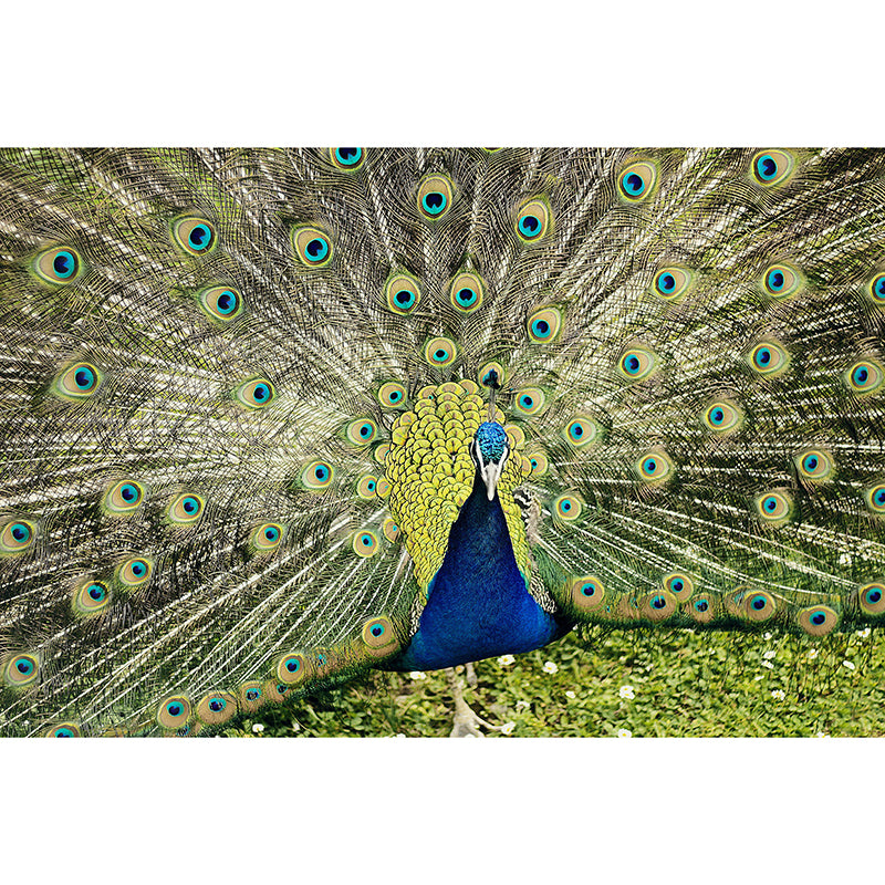 Tropical Style Animal Mural Wallpaper Contemporary Wall Covering for Living Room