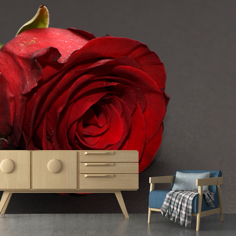 Rose Full Size Wall Covering for Home Decoration Water Resistant, Made to Measure