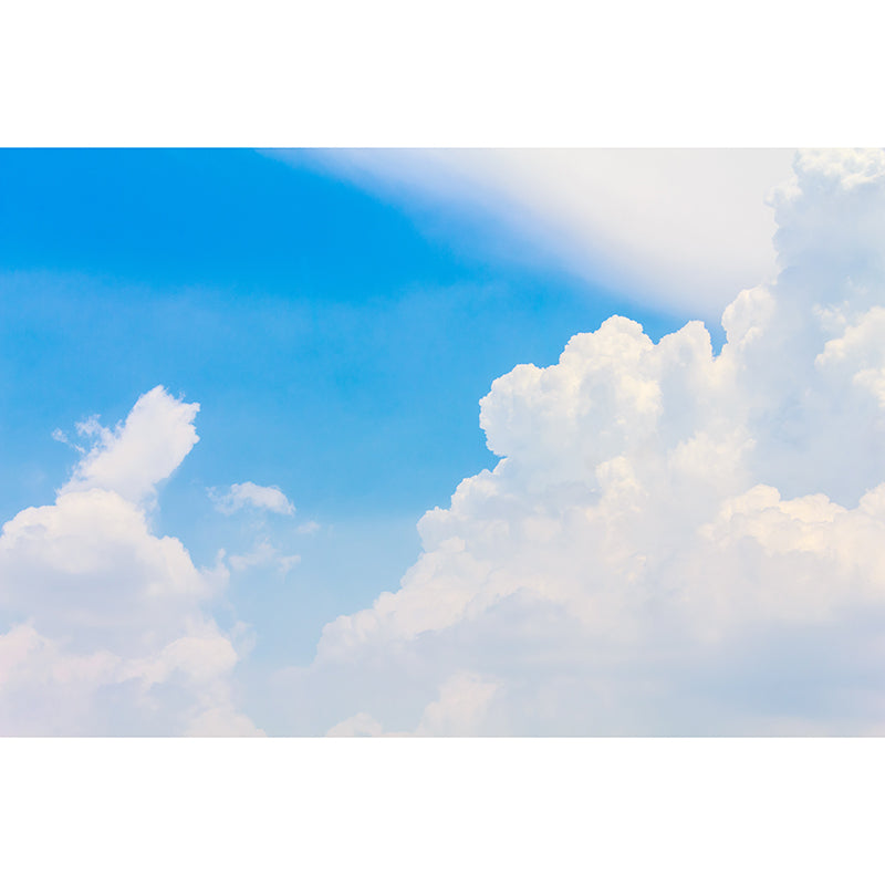 Bule Sky Landscape Removable Wall Mural for Gust Room, Moisture Resistant