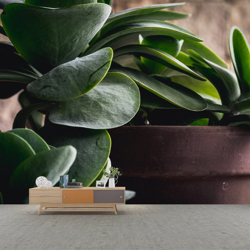 Plant Mural Decal Moisture Resistant Contemporary Bathroom Wall Covering