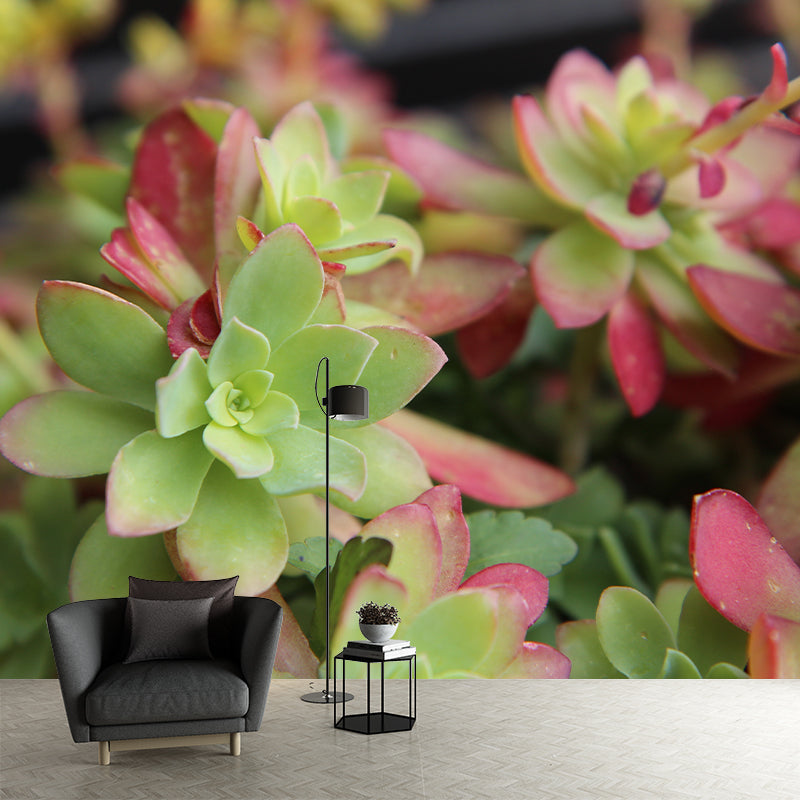 Plant Mural Decal Moisture Resistant Contemporary Bathroom Wall Covering