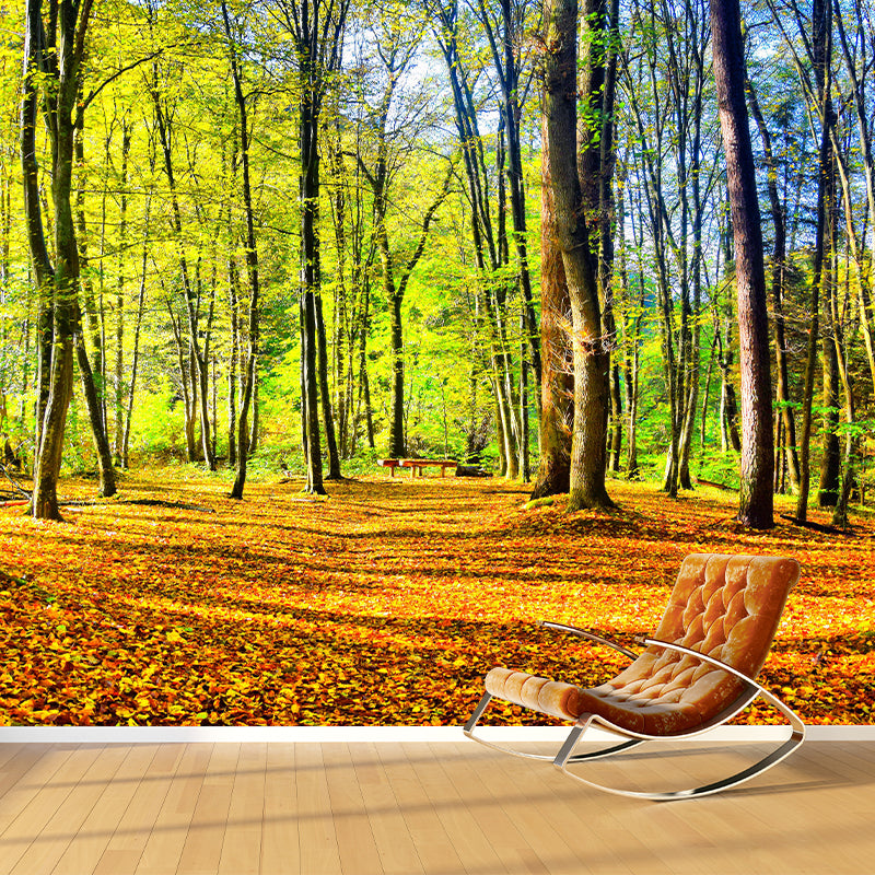 Forest Landscape Removable Wall Mural for Sitting Room, Water Resistant