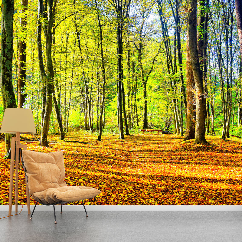 Forest Landscape Removable Wall Mural for Sitting Room, Water Resistant