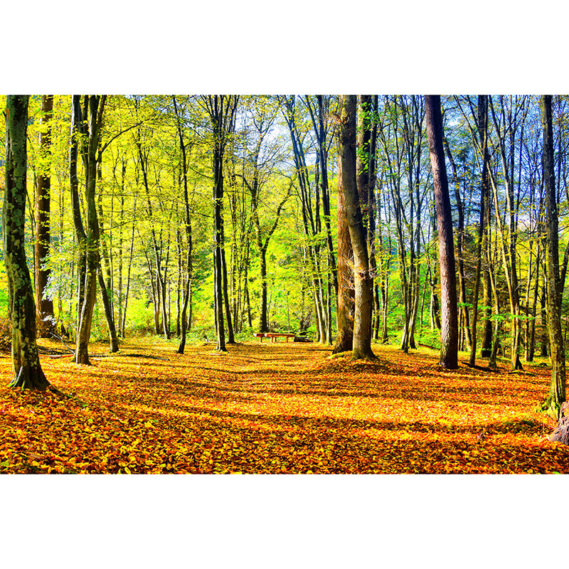 Forest Landscape Removable Wall Mural for Sitting Room, Water Resistant