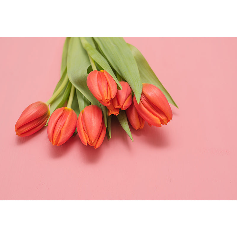 Blossom Tulip Mural Decal Stain Resistant Modern Girls Bedroom Wall Covering