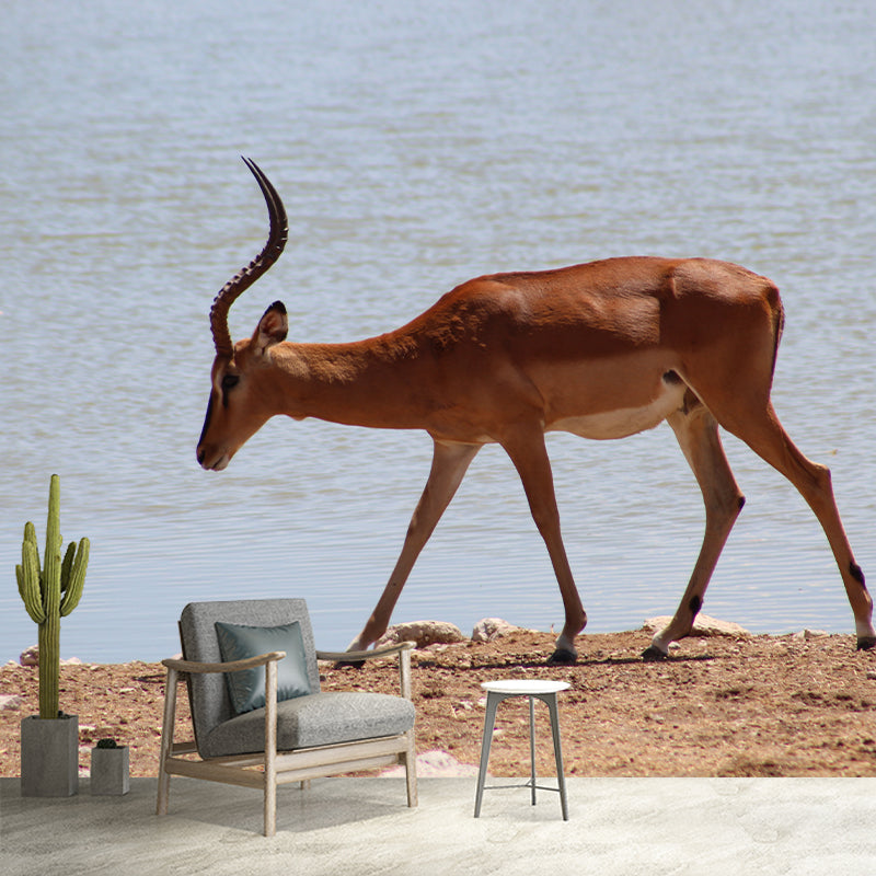 Springbok Mural Wallpaper Stain Resistant Wall Covering for Living Room