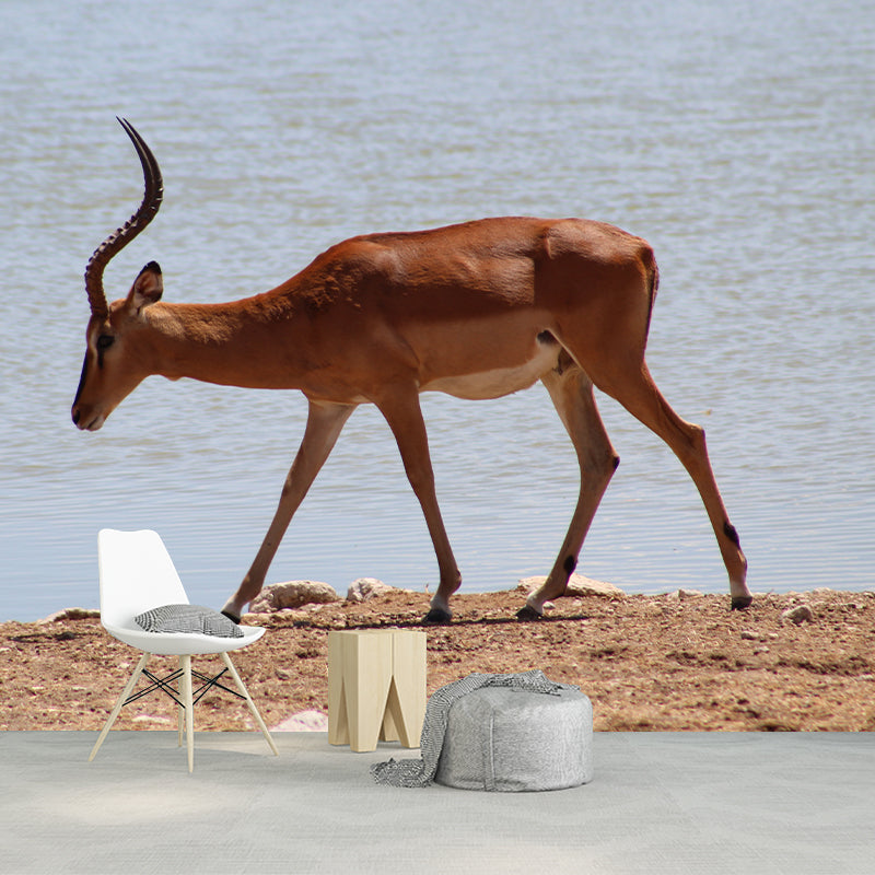 Springbok Mural Wallpaper Stain Resistant Wall Covering for Living Room