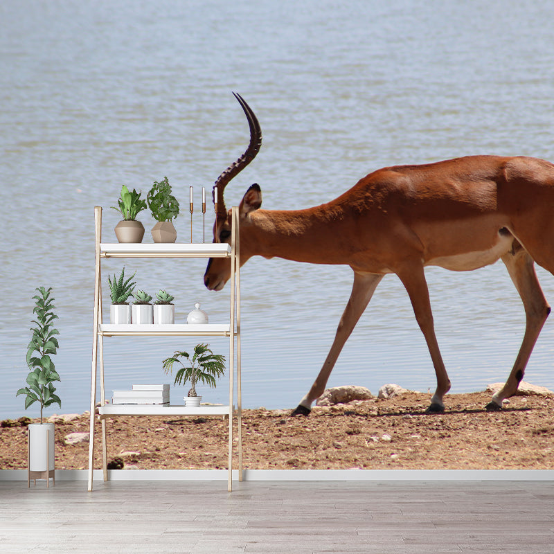 Springbok Mural Wallpaper Stain Resistant Wall Covering for Living Room