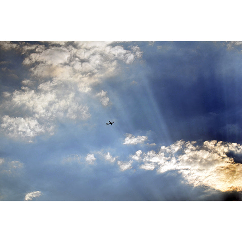 Diverse Sky Mural Personalized Size Wall Covering for Sleeping Room, Water Resistant