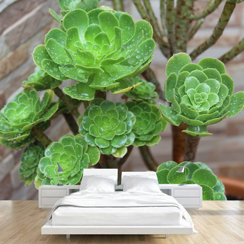 Plants Wall Decals Removable Wall Art Decor for Office Home Apartment, Moisture Resistant