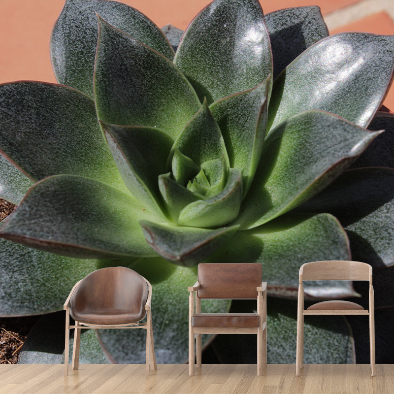 Plants Wall Decals Removable Wall Art Decor for Office Home Apartment, Moisture Resistant