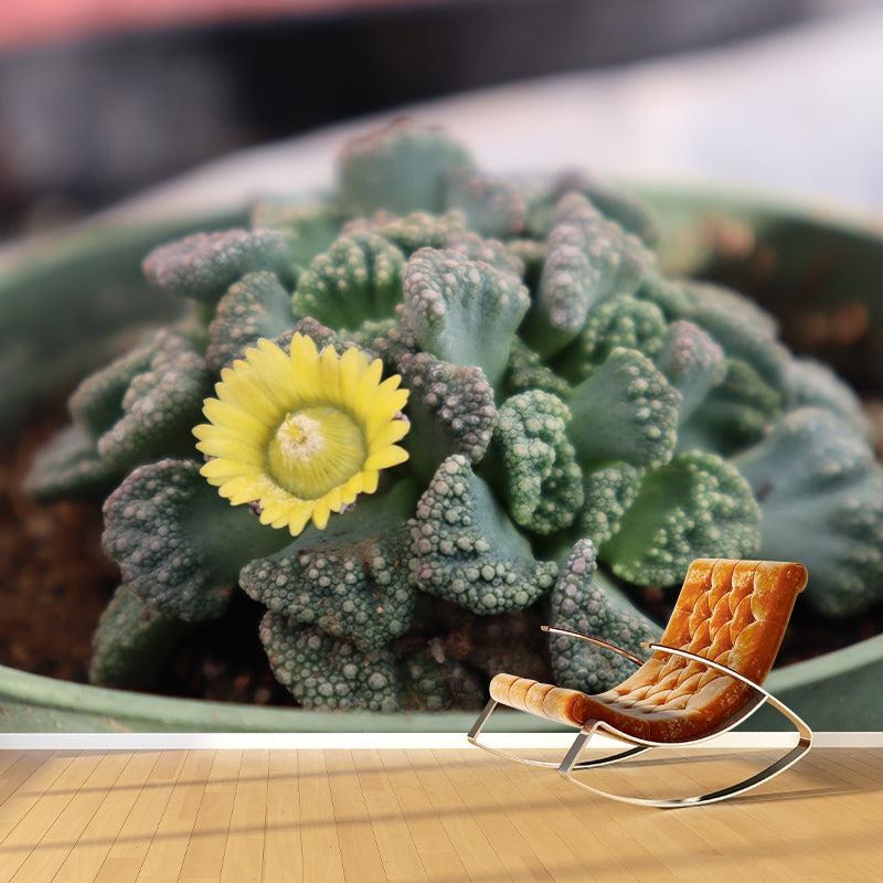 Plants Wall Decals Removable Wall Art Decor for Office Home Apartment, Moisture Resistant