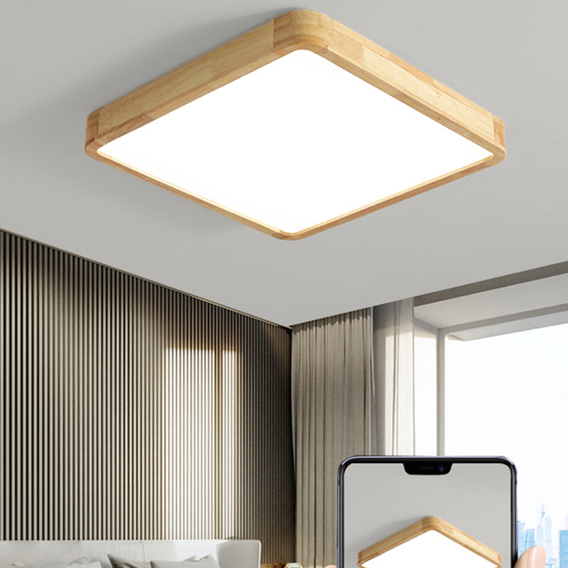 Modern Flush-mount Lighting 1-Light Restaurant Flush Mount Lighting Fixtures with Acrylic Shade