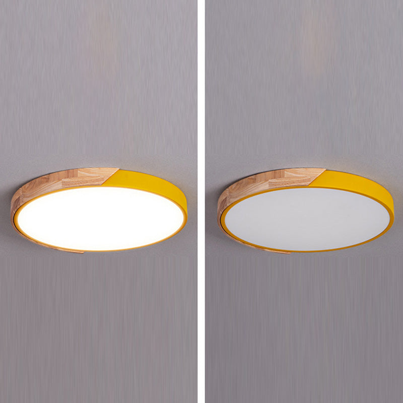Macron LED Light Fixture Acrylic Colorful Ceiling Mount Light for Sitting Room