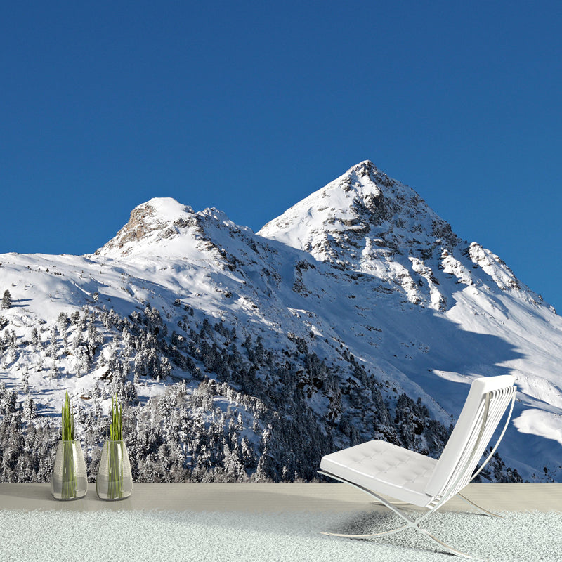 Contemporary Mountain Mural Wall Decor Environment Friendly for Living Room