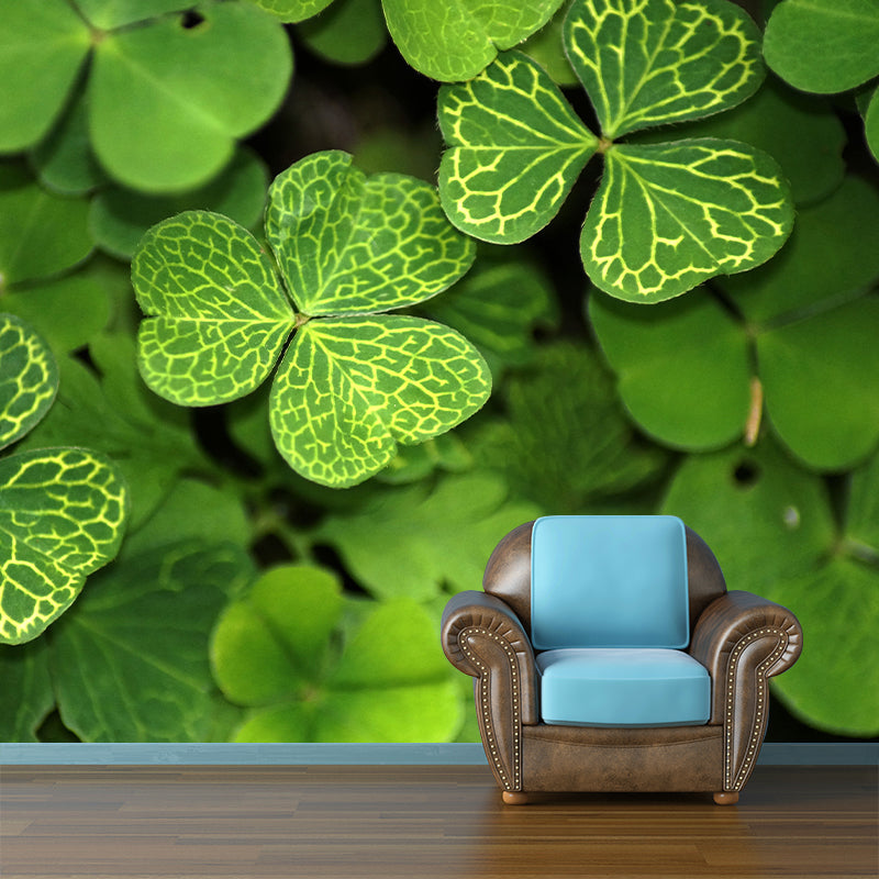 Clover Plant Mural Decal for Reading Room Study Room, Moisture Resistant