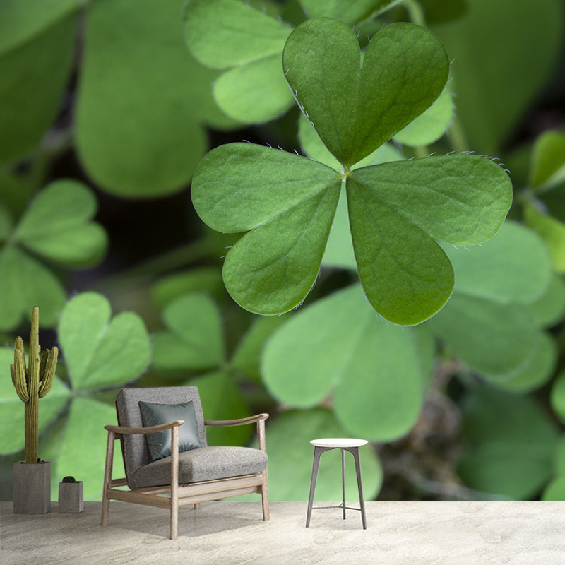 Clover Plant Mural Decal for Reading Room Study Room, Moisture Resistant