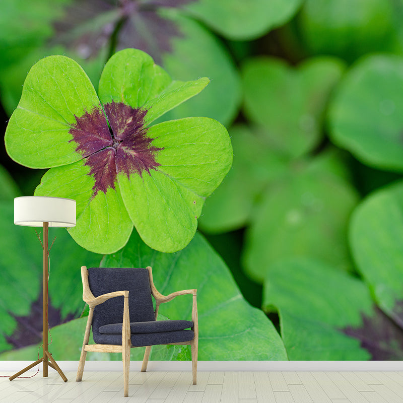 Green Clover Mural Wallpaper for Sleeping Room Water Resistant, Custom Size Available