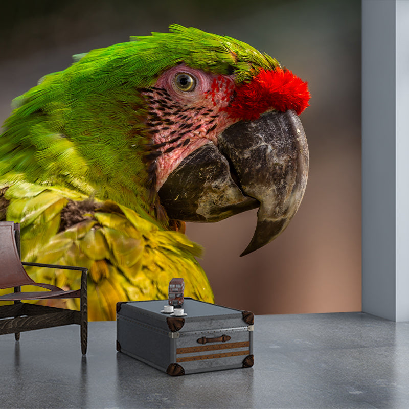 Parrot Animal Wall Mural for Living Room Bedroom Wall Art, Stain-Resistant