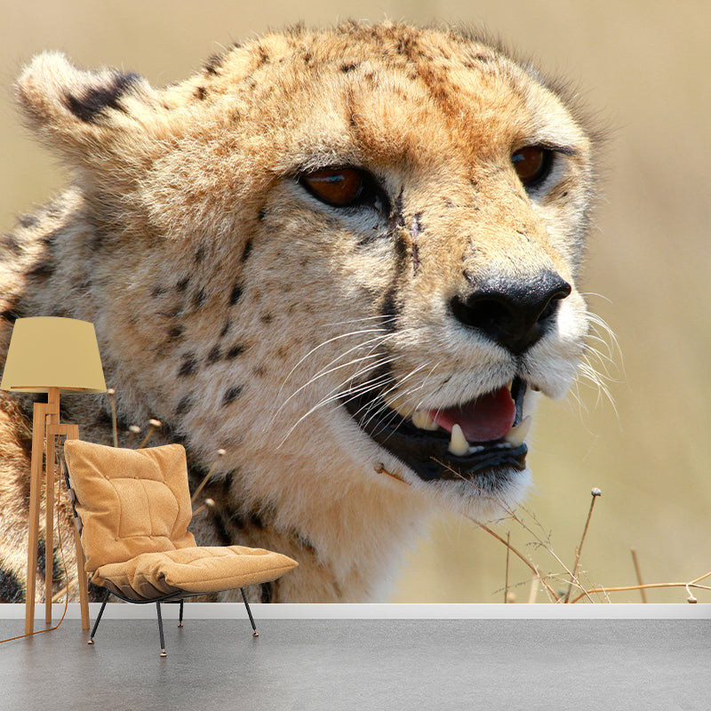 Cheetah Mural Waterproofing Wall Covering for Home Decoration, Made to Measure