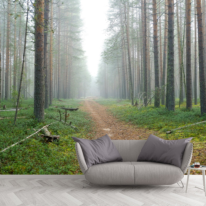 Forest Photo Wall Mural for Living Room Bedroom, Removable, Customized Size