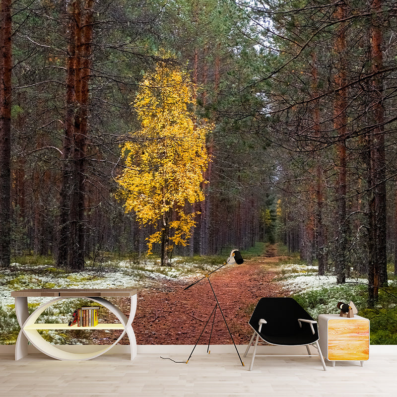 Forest Mural Wallpaper Full Size Stain-Resistant Living Room Home Decor