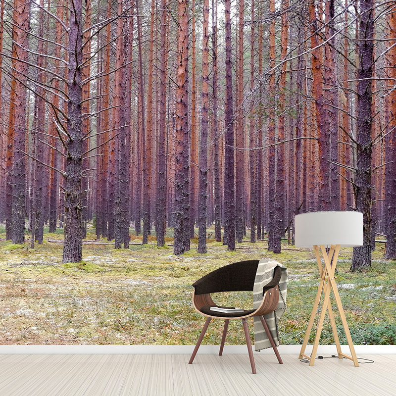 Forest Mural Wallpaper Full Size Stain-Resistant Living Room Home Decor