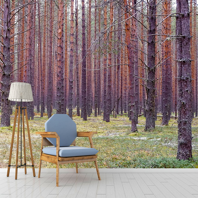 Forest Mural Wallpaper Full Size Stain-Resistant Living Room Home Decor