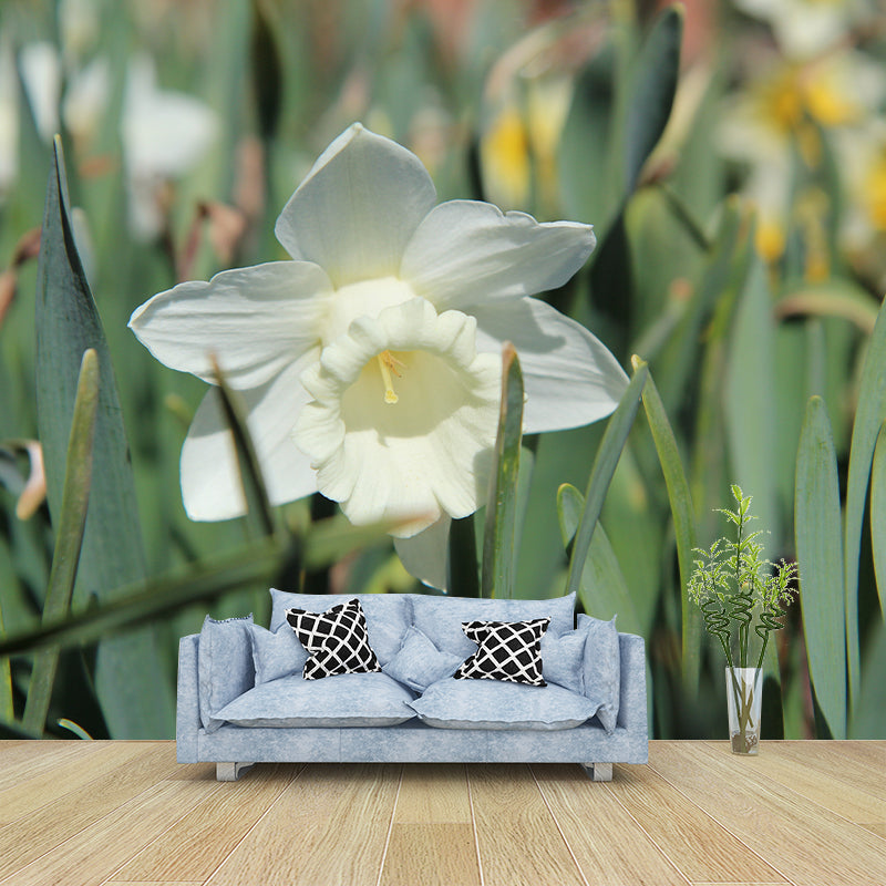 White Daffodil Mural Decal Waterproofing Wall Covering for Living Room, Custom Size