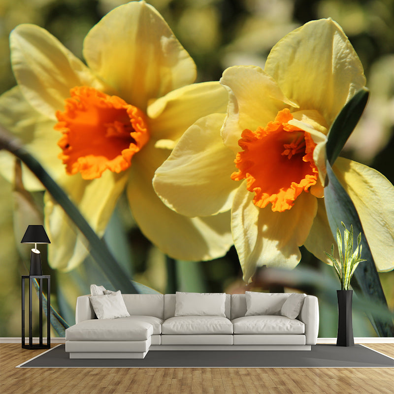 Daffodil Blossoming Flower Wall Paper Murals Waterproof Wall Decor for Bedroom