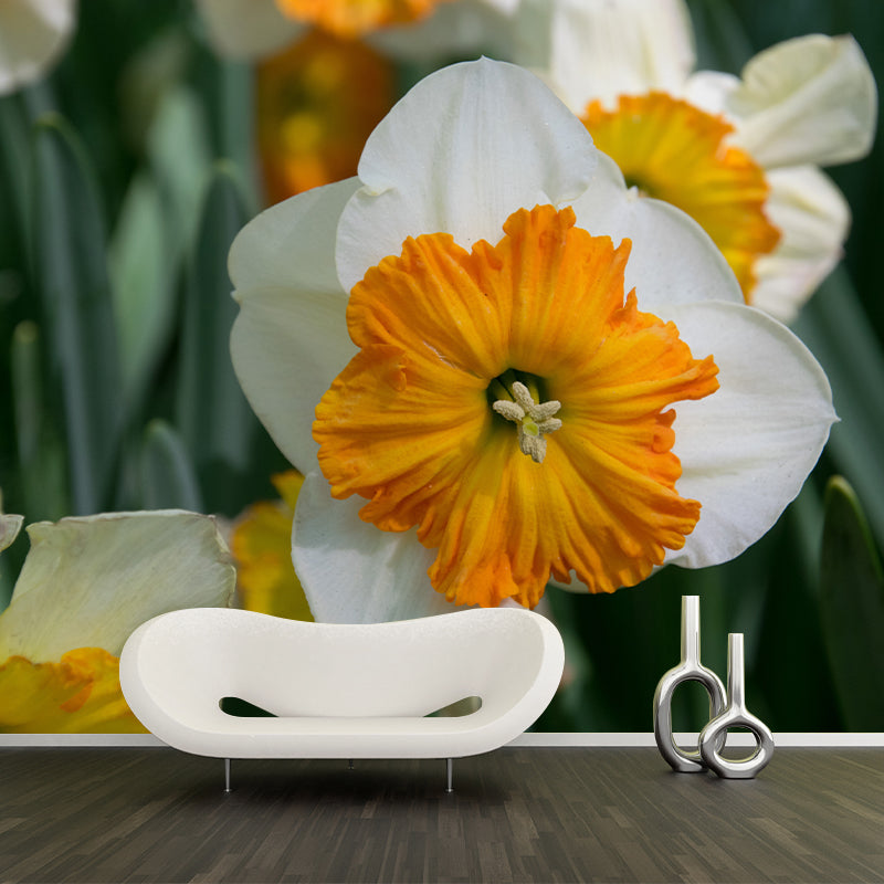 Daffodil Blossoming Flower Wall Paper Murals Waterproof Wall Decor for Bedroom