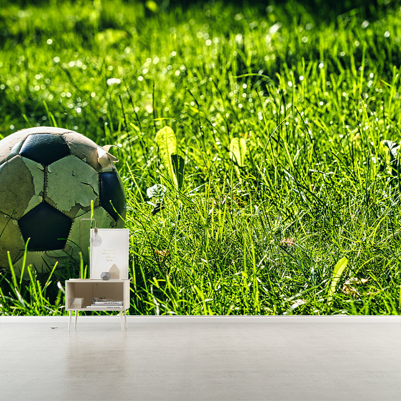 Girls Boys Bedroom Wall Murals Moisture Resistant Home Decor, Custom Size Available