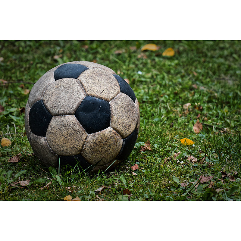 Football Wallpaper Murals Stain Resistant Wall Covering for Living Room