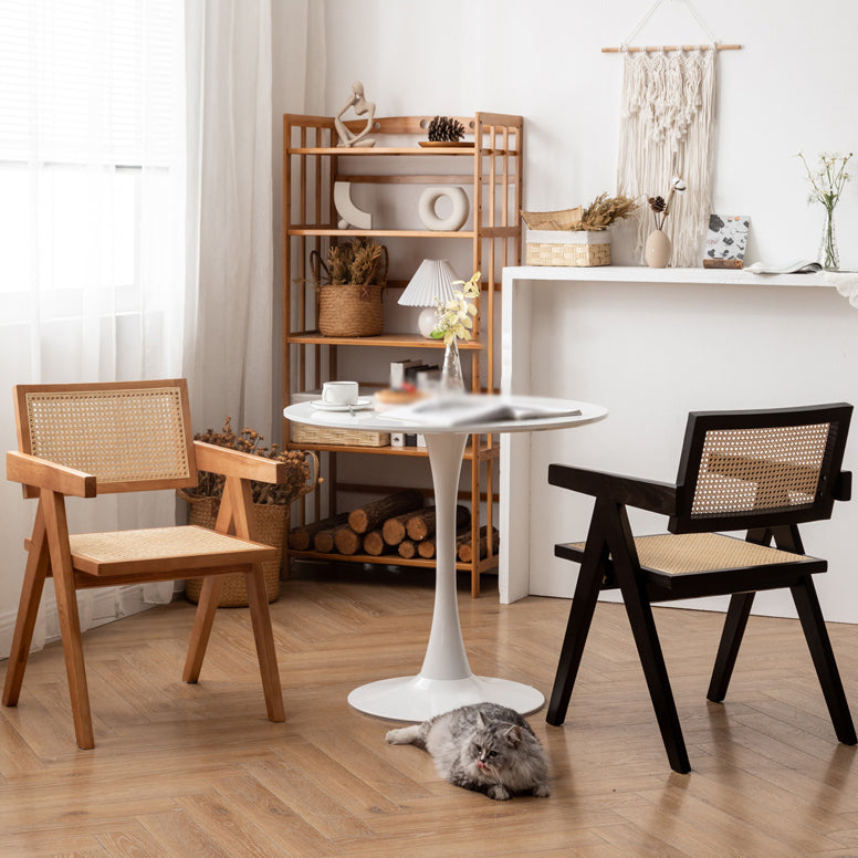 Chaise de salle à manger de style contemporain Solide Solid Wabel
