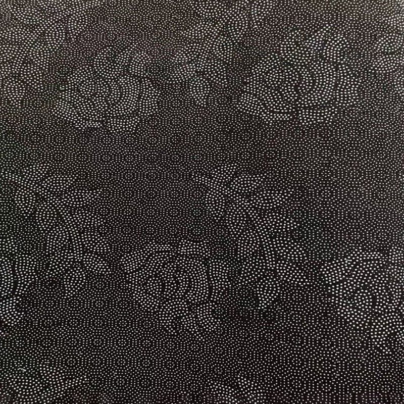 Black Modern Carpet Polyester Graphic Carpet Stain Resistant Carpet for Living Room