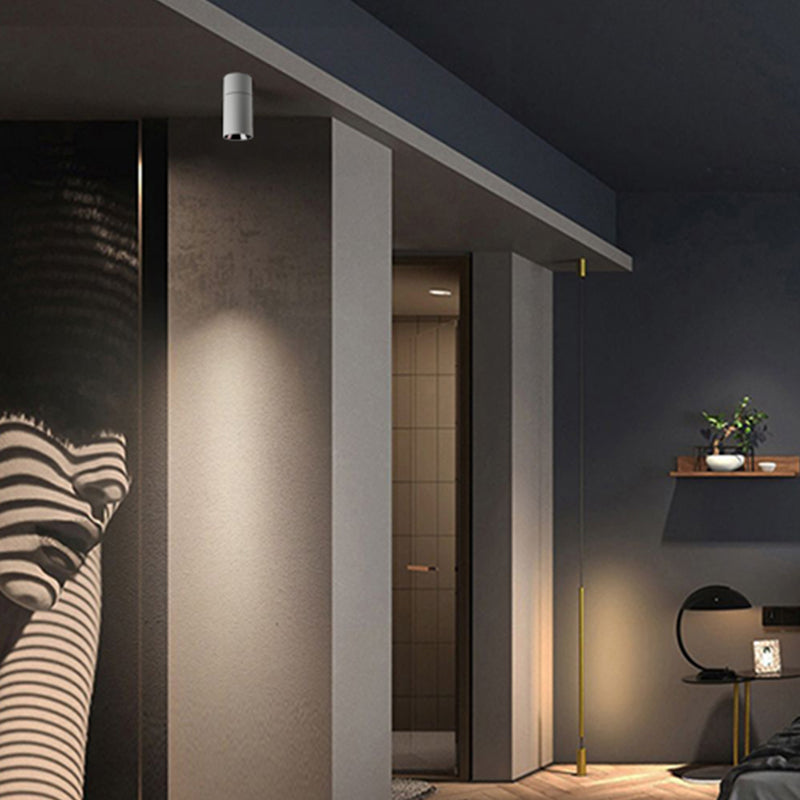 Mini plafonnier cylindrique monté en Surface moderne salon chambre réglable LED Downlight