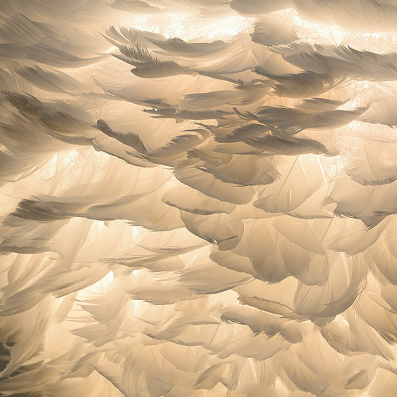 Kugelförmige Kronleuchterleuchte moderne Einfachheit Feder Schatten Anhänger Beleuchtung für das Restaurant