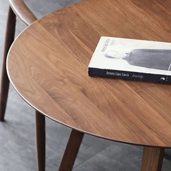 Vast hout dubbele voetstuk dinette tafel eenvoud eettafel ronde voor thuis