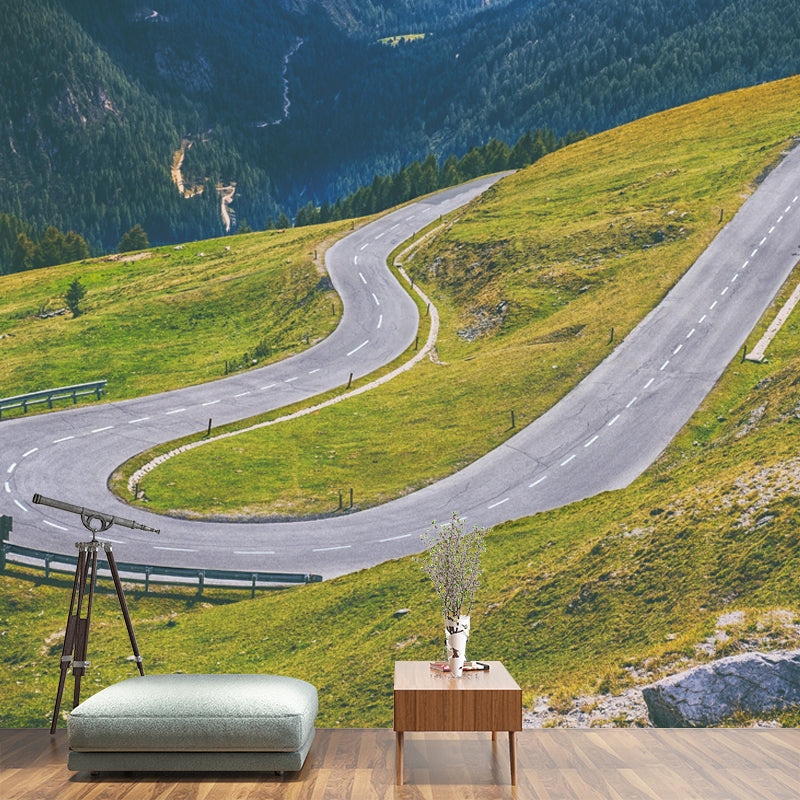 Horizontal Photography Curvy Road Mural Decorative Mildew Resistant for Living Room