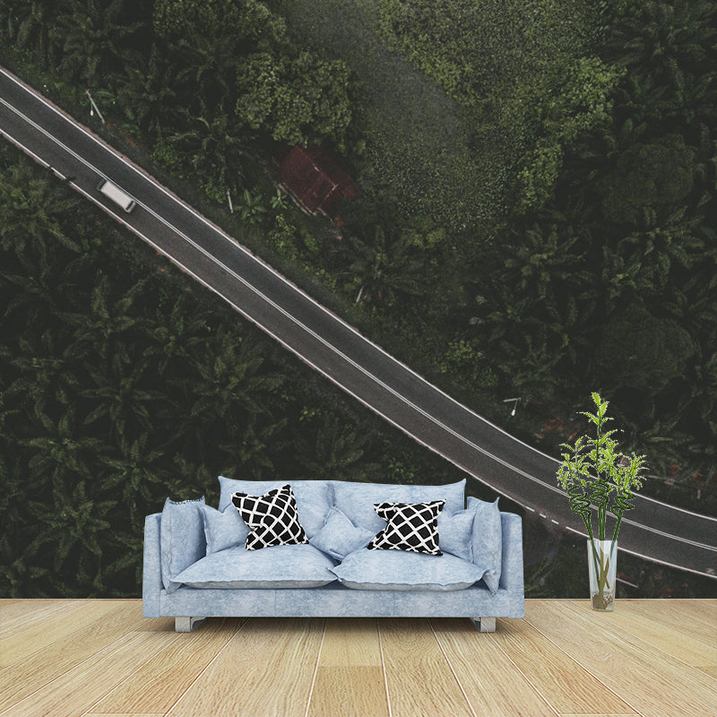 Horizontal Photography Curvy Road Mural Decorative Mildew Resistant for Living Room