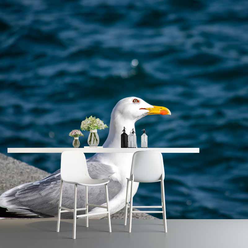 Horizontal Photography Seagull Wall Mural Decorative Mildew Resistant for Living Room
