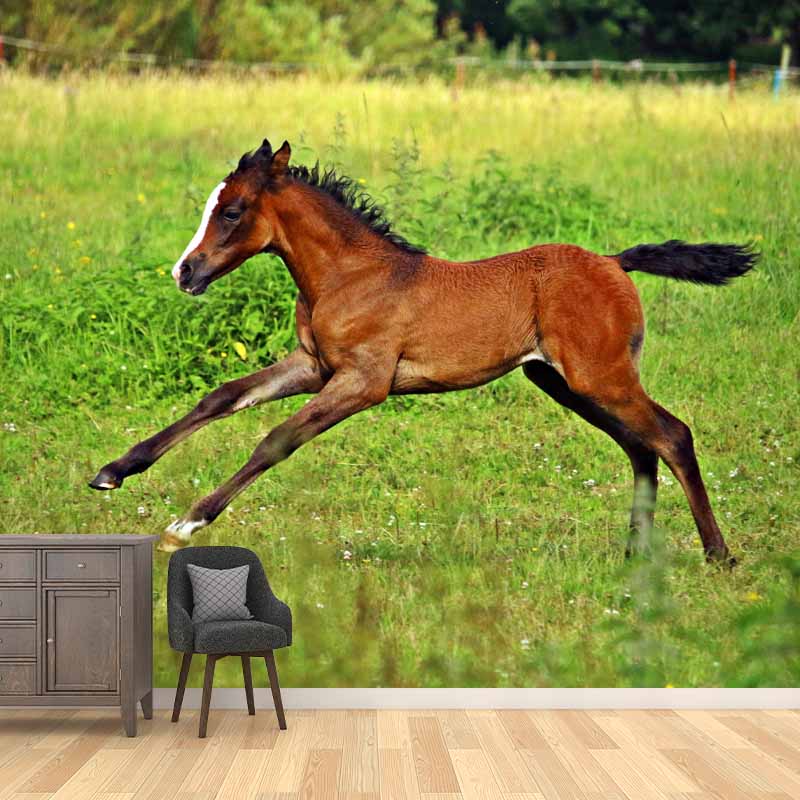 Photography Running Horse Wall Mural Decorative Mildew Resistant for Living Room