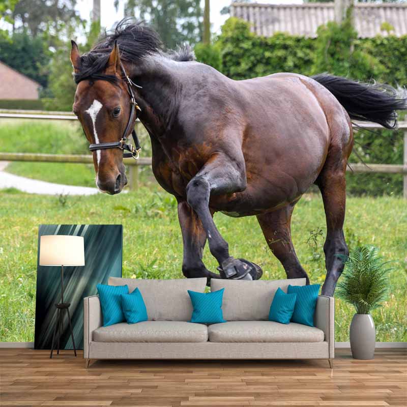Photography Running Horse Wall Mural Decorative Mildew Resistant for Living Room
