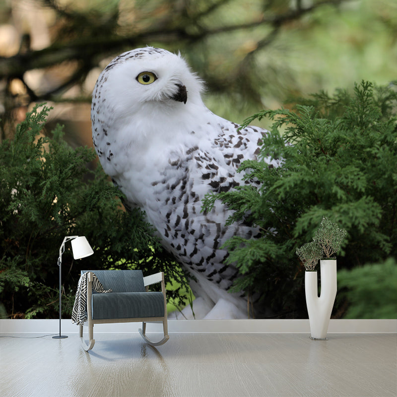 Horizontal Photography Owl Wall Mural Decorative Mildew Resistant for Living Room