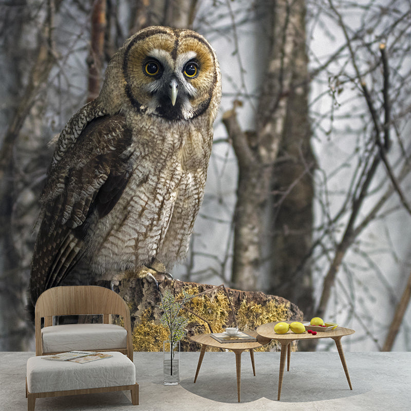 Horizontal Photography Owl Wall Mural Decorative Mildew Resistant for Living Room
