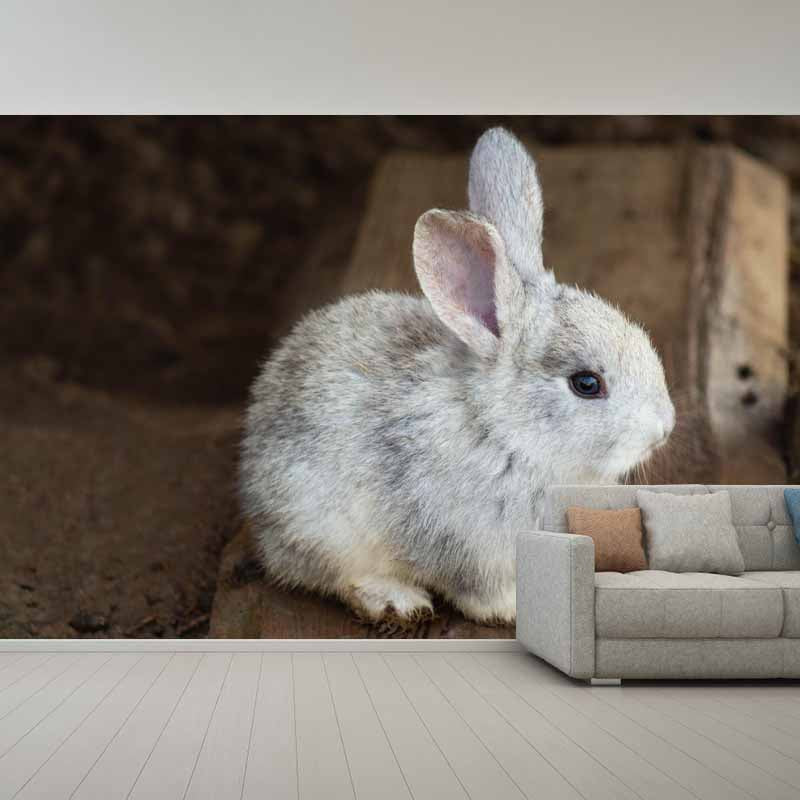 Customized Lovely Rabbit Mural Environment Friendly Wallpaper for Guest Room