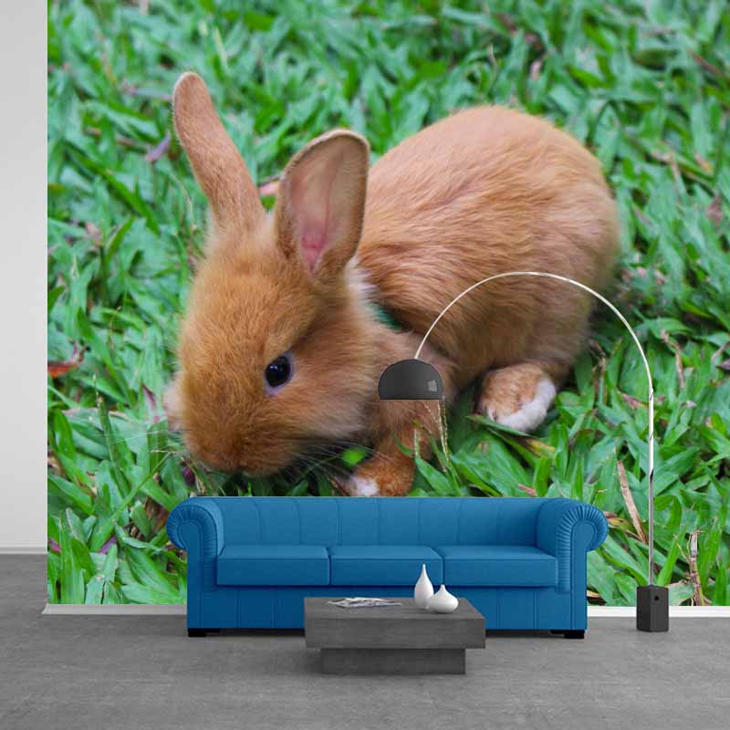 Customized Lovely Rabbit Mural Environment Friendly Wallpaper for Guest Room