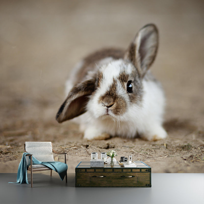 Horizontal  Photography Rabbit Wall Mural Decorative Mildew Resistant for Living Room