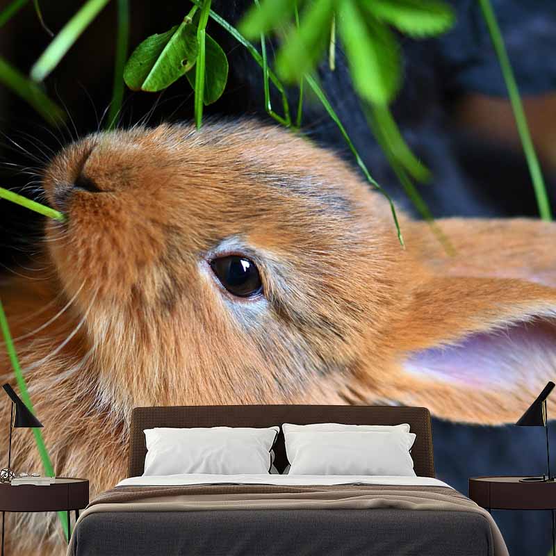 Horizontal  Photography Rabbit Wall Mural Decorative Mildew Resistant for Living Room